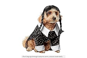 Wednesday Addams Pet Costume - Putting Your Dog in a Thing