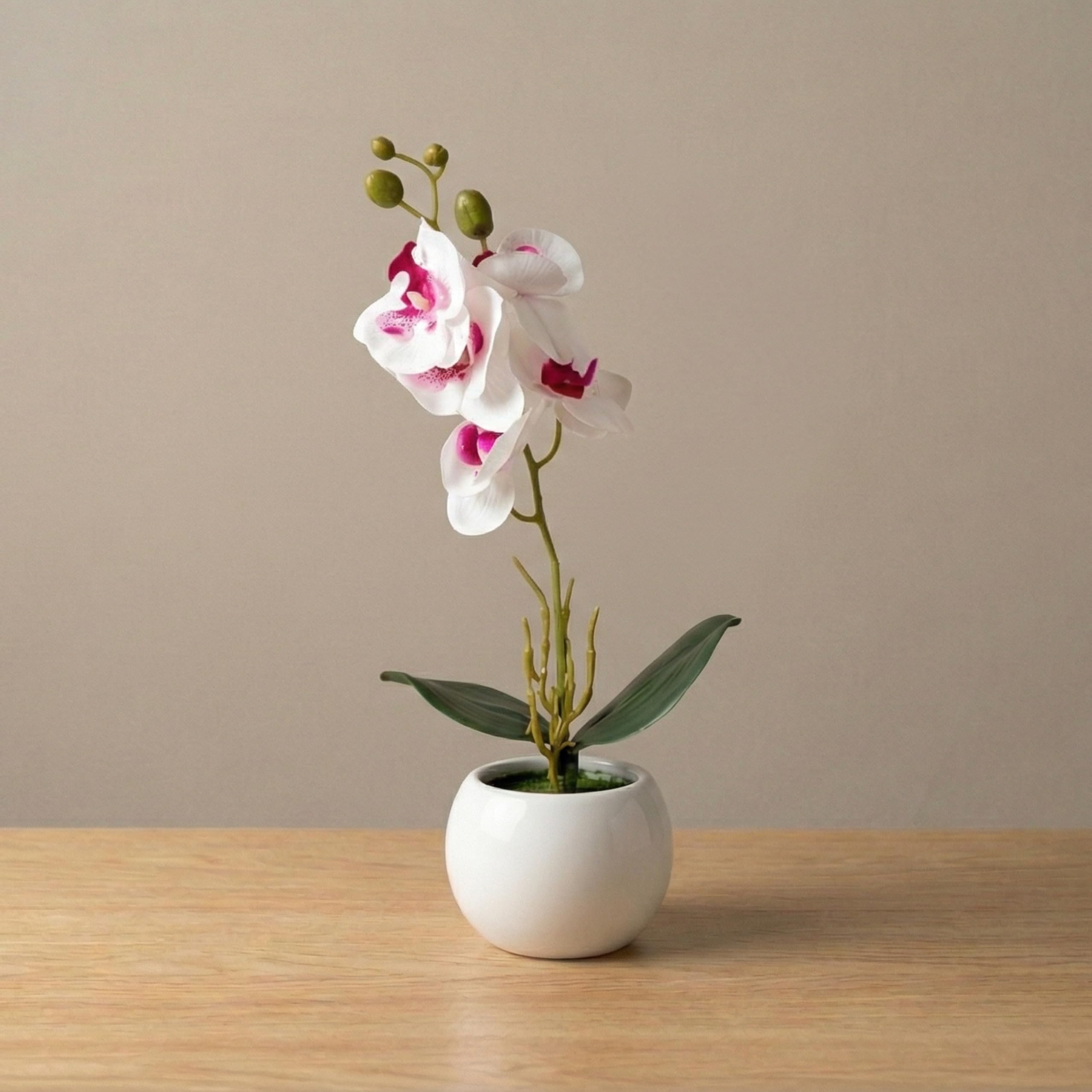 Dekorly Realistic Artificial White Orchid Plant 32CM with Glossy Round Pot – Luxury Home Office Decoration | Ready to Display Decor Accent | (White Orchid)-image-34