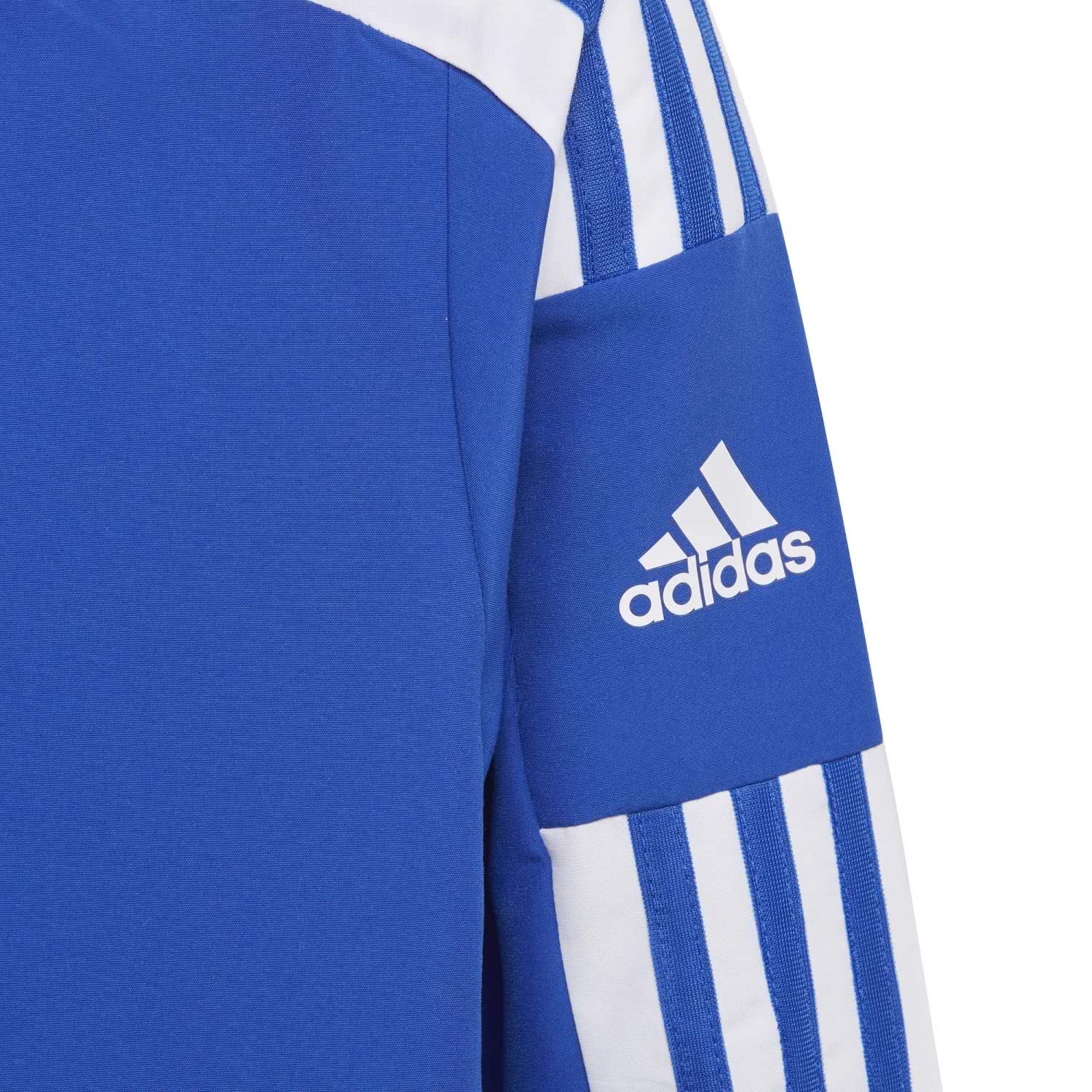 adidas Unisex niños Squadra 21 Presentation Jacket, Royal Blue/White, 15-16 Years