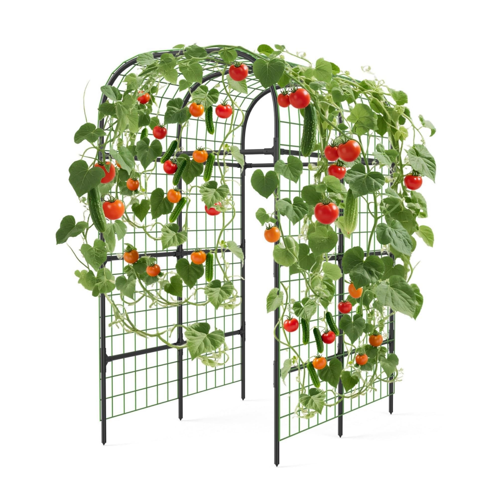 ActiveTrail 7.3Ft Trellis