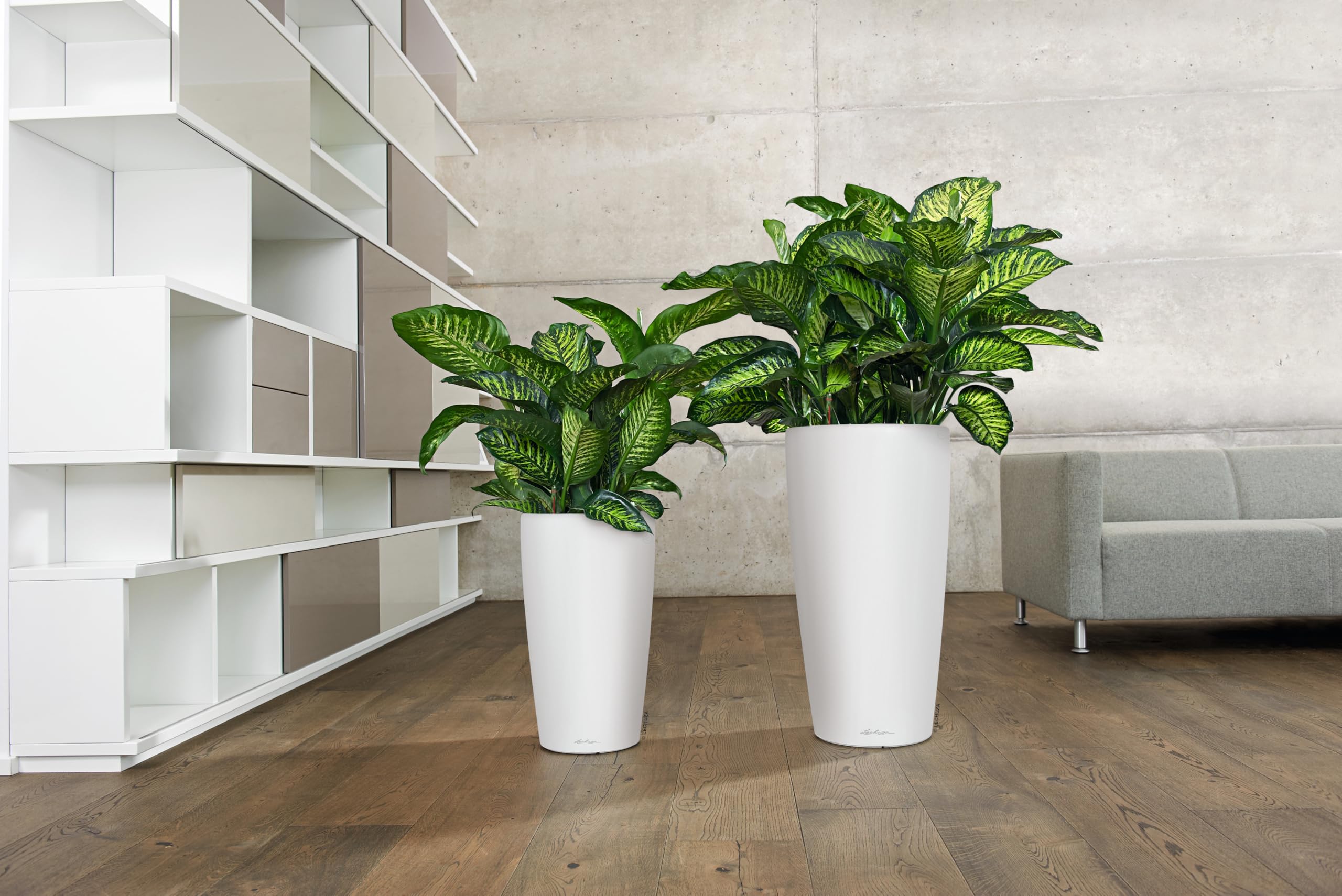 LECHUZA 15785 Rondo Premium 32 Plantenbak Matzwart, Plantenzuil Met Irrigatiesysteem Waterniveau Indicator En Planteninzet Mat Oppervlak Diameter 32 5 X 56 5 Cm 2026701407