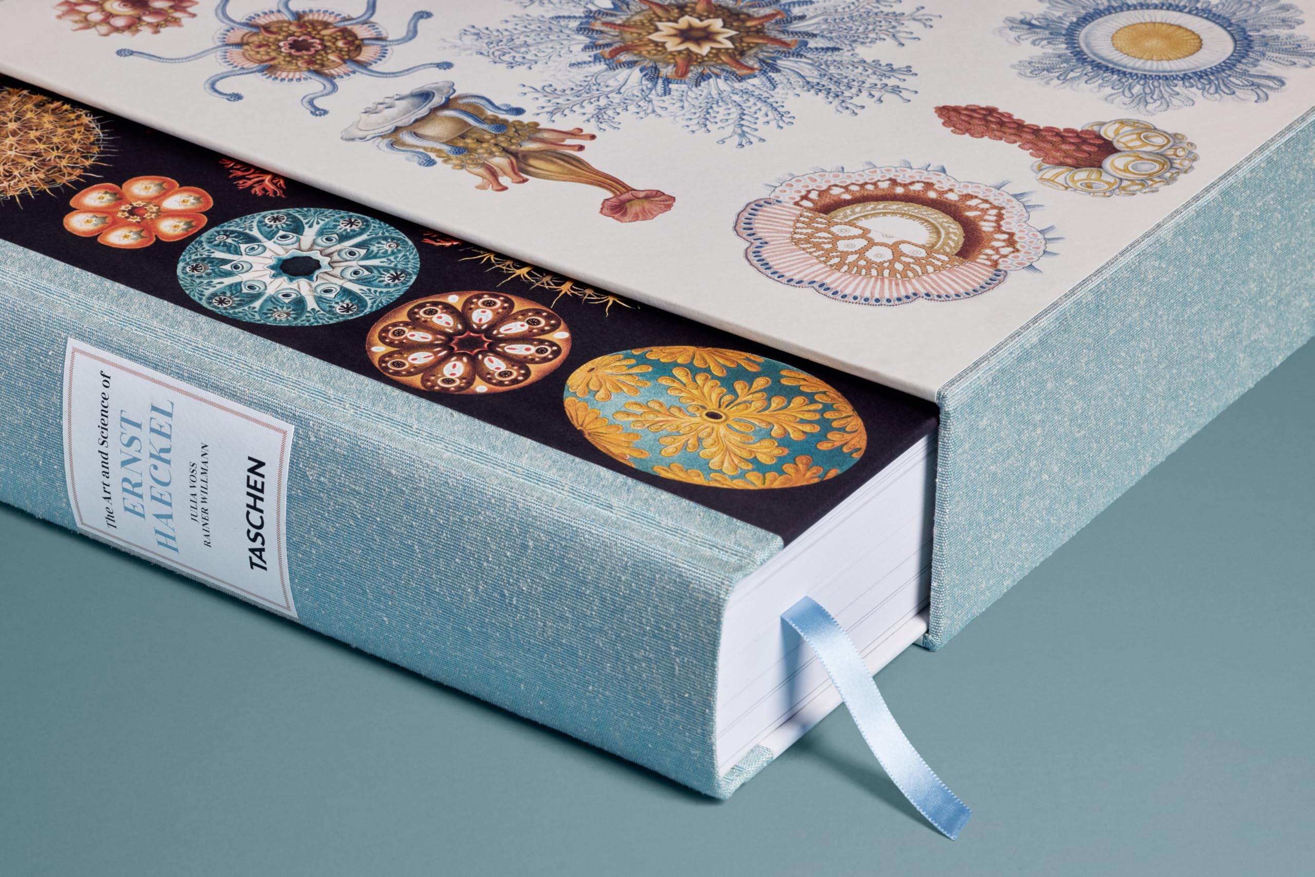 The Art and Science of Ernst Haeckel
