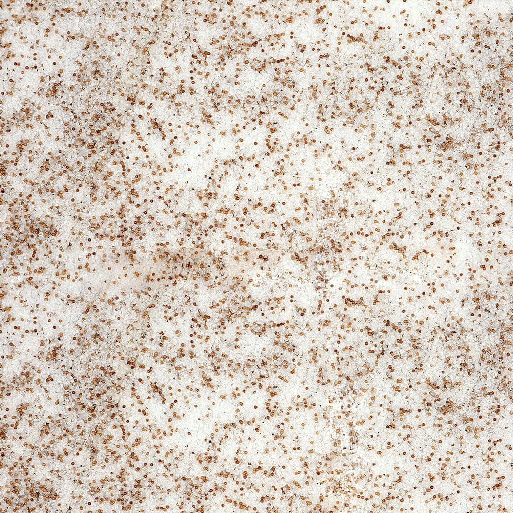Baby Brine Shrimp Eggs Hatching Artemia Salt Mix, Big Red Tibet GRADE A 90% RATE (200g)