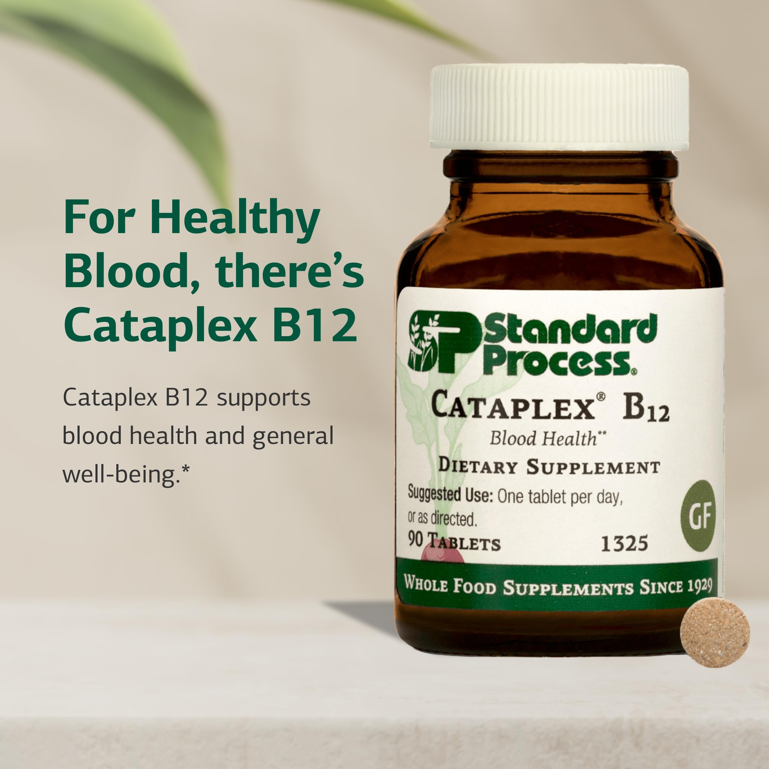 Standard Process Cataplex B12, Blood & Nervous System Support, 90 Tablets — Amazon image 3
