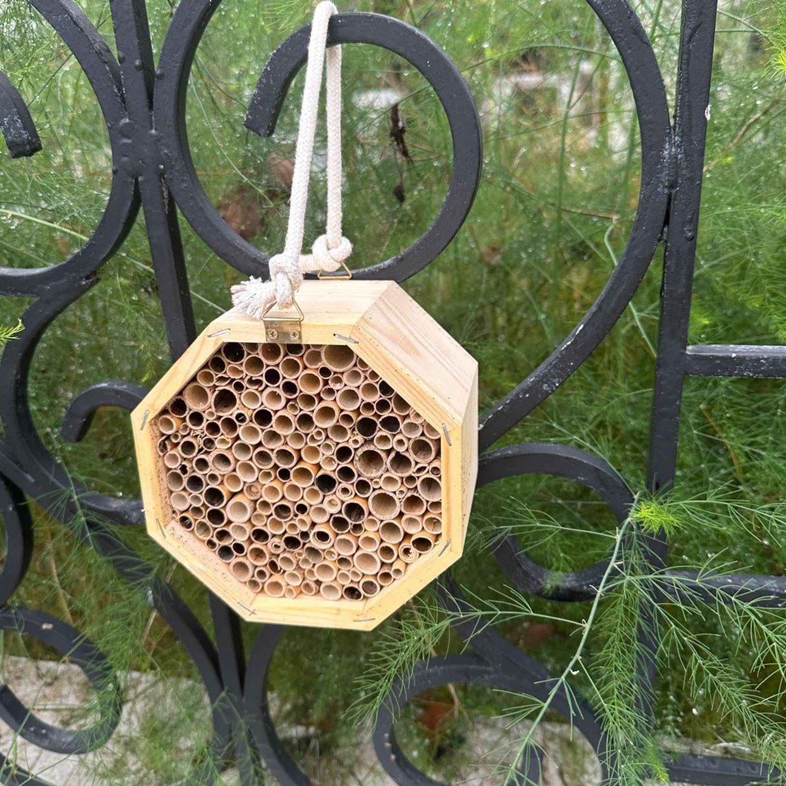 Bienenhotel Insektenhotel Zum Hängen, Bienenhaus Aus Massiv- Für Marienkäfer & Florfliegen, Insektenhaus I Nisthilfe Insektenhotel Zum Aufhängen