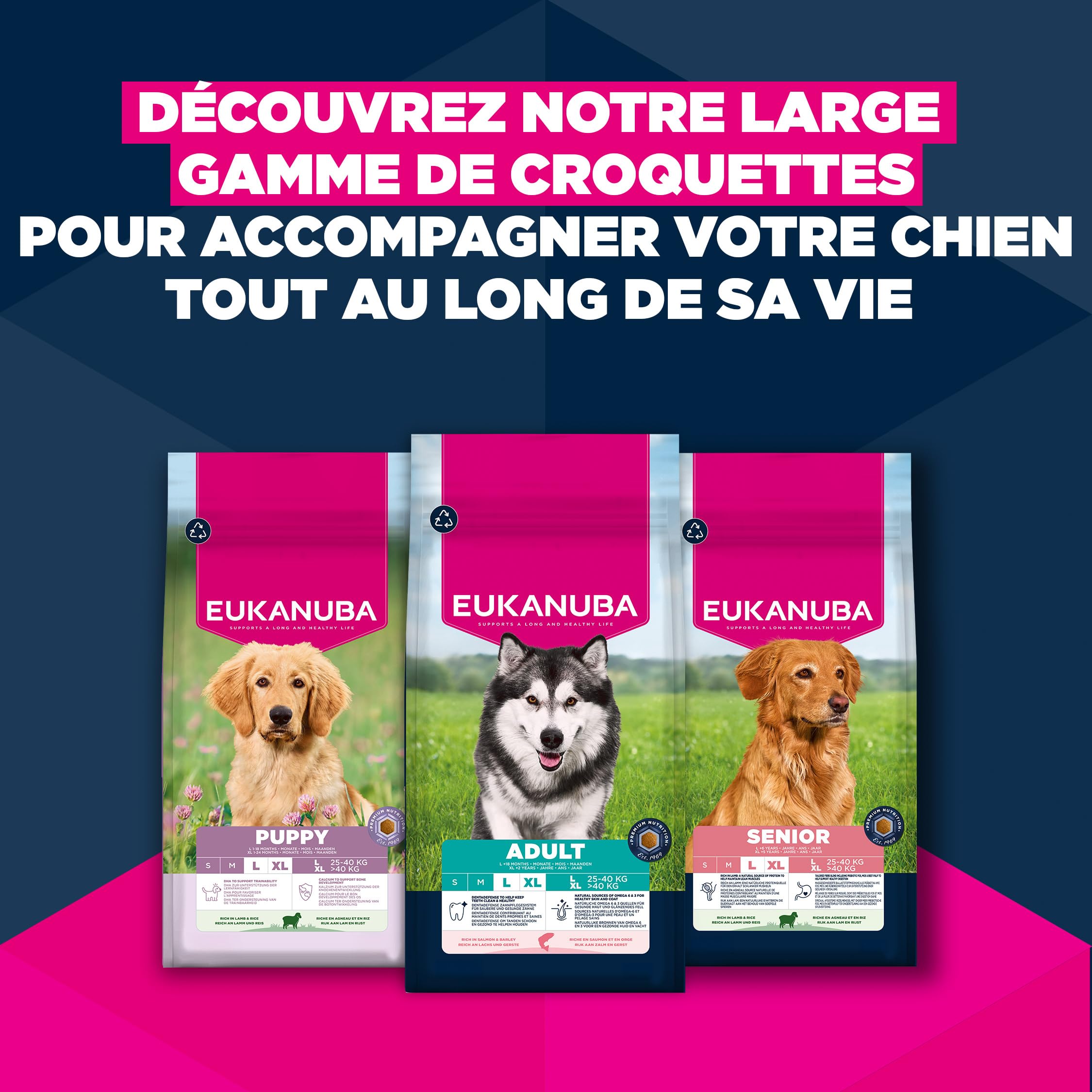 EUKANUBA Life Care Chien Grande Race Saumon Orge 12 kg | Nourriture sèche de qualité supérieure pour chiens adultes
