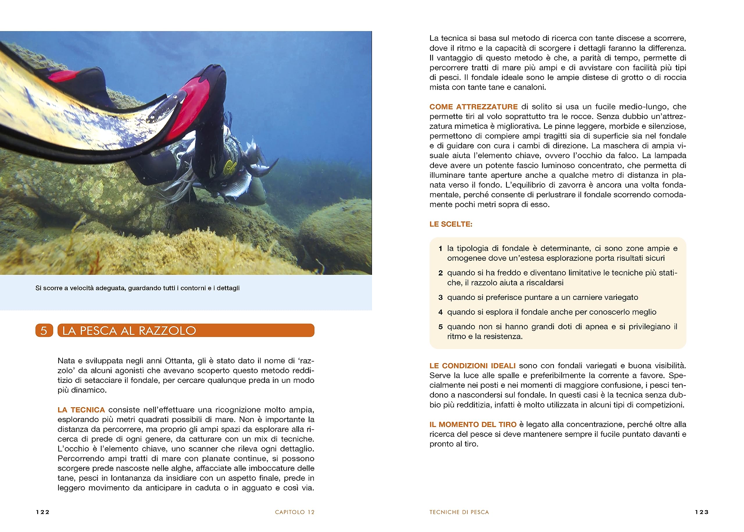 Manuale di pesca in apnea