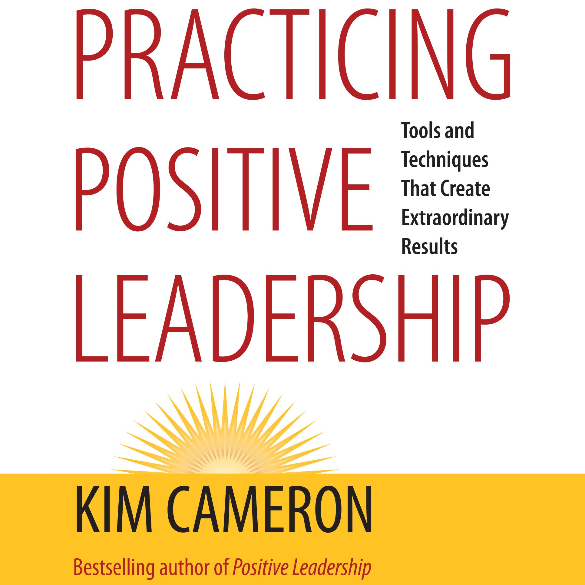 Cover art for Practicing Positive Leadership: Tools and Techniques That Create Extraordinary Results (BK Business)