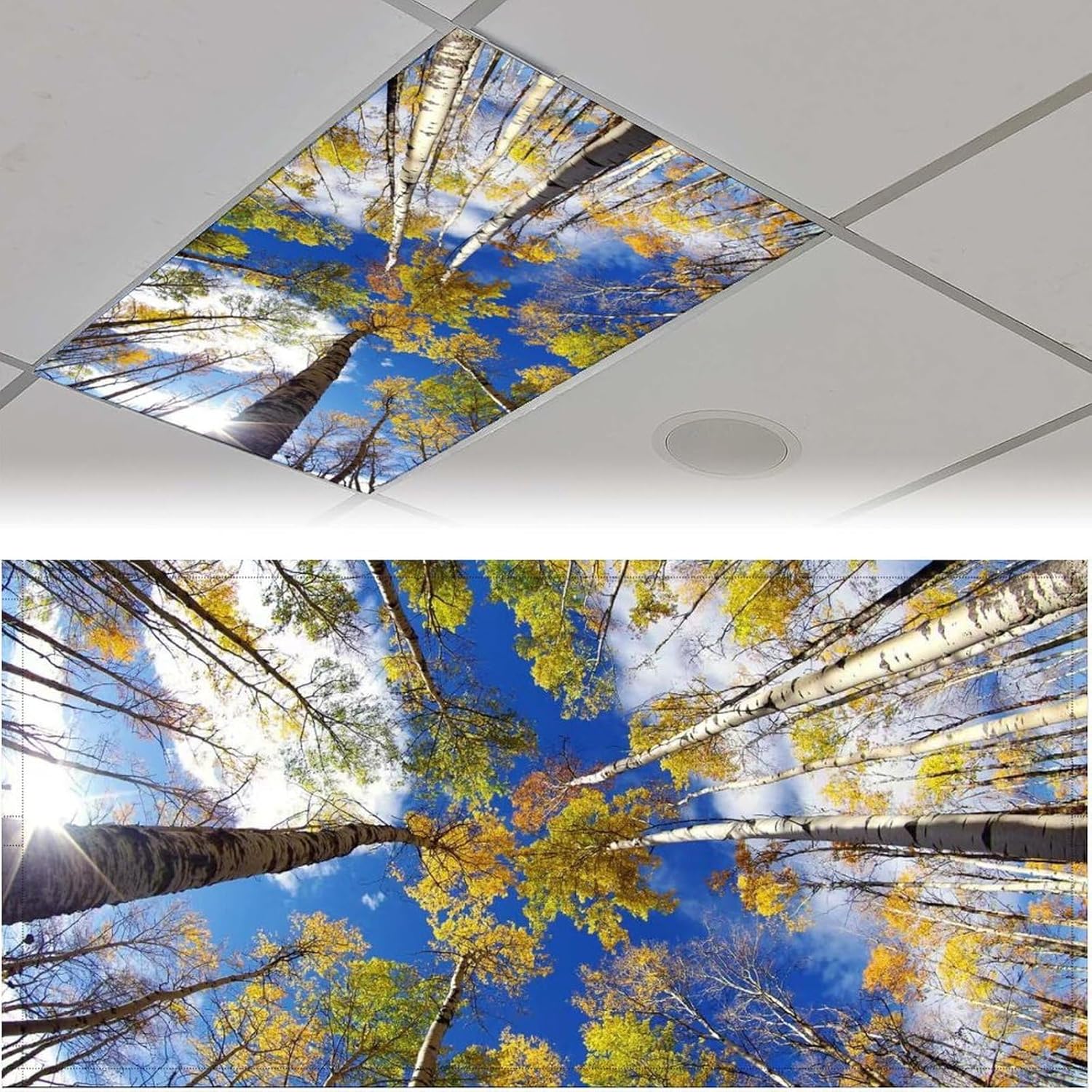 2 Pack Grove Fluorescent Light Cover for Ceiling Light - Magnetic Light Covers Classroom, Light Filters Drop Fluorescent Light Shade Panel for Office Home School,4 X 2 Ft