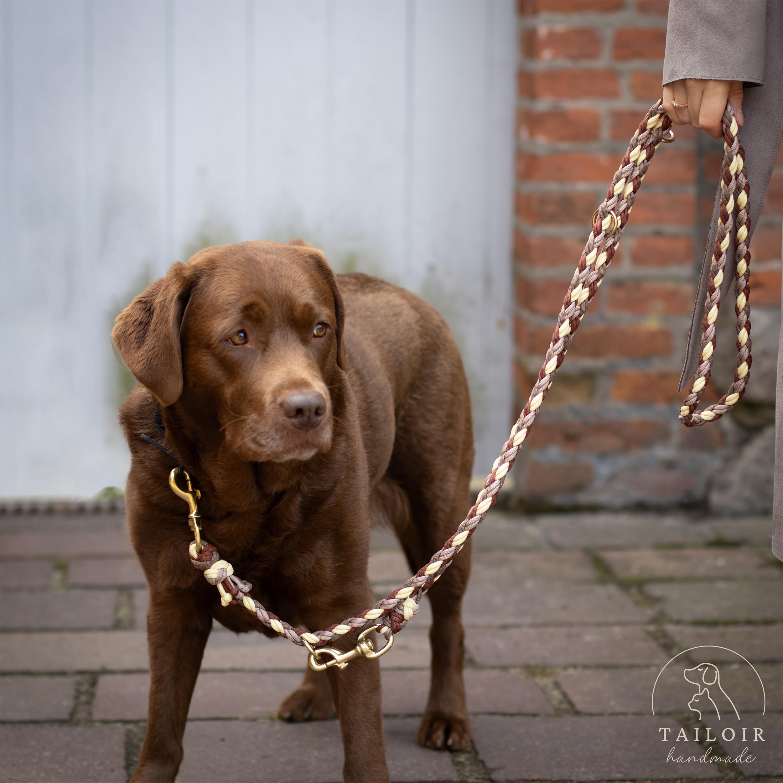 Hundeleine 2m geflochten - Leine Hund, Mittelgroße - Große Hunde, Leine verstellbar, Hundeleinen, Dog Leash Führleine, Bissfeste Hundeleine zum Umhängen, Trainingsleine, Freihandleine Paracord