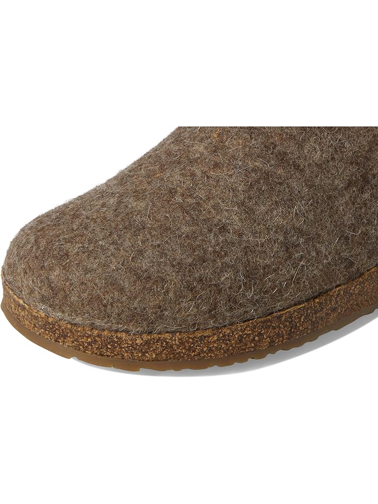 Brown Haflinger Speed