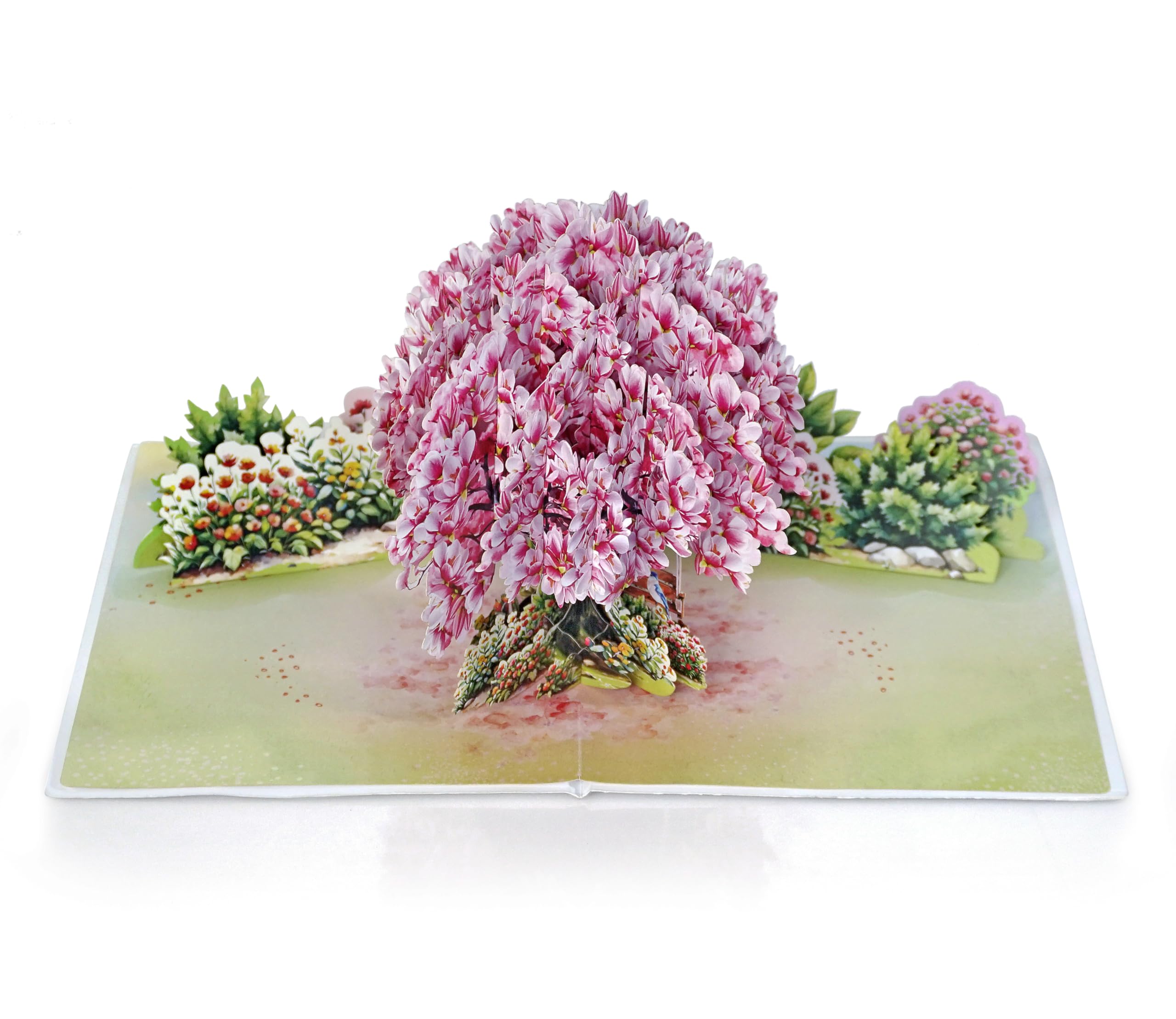 CUTPOPUP Magnolia with Blue Jay Couple Pop Up Anniversary Cards, Wedding Anniversary Card, 3D Valentines Day - Image 2