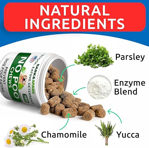 Miniatura 71 de Bark&Spark Probióticos para perros y enzimas digestivas (salud intestinal) Alergia y picazón en la piel, tratamiento de gases para diarrea