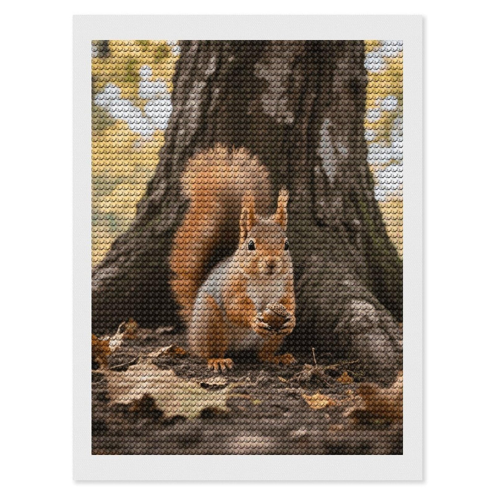 DWVTSLH Squirrel Diamond Painting Kits for Adults, Personalized Diamond Photo Art Full Drill, DIY 5D Diamond Art Painting Kits for Beginners, Home Wall Decor 12"x16"