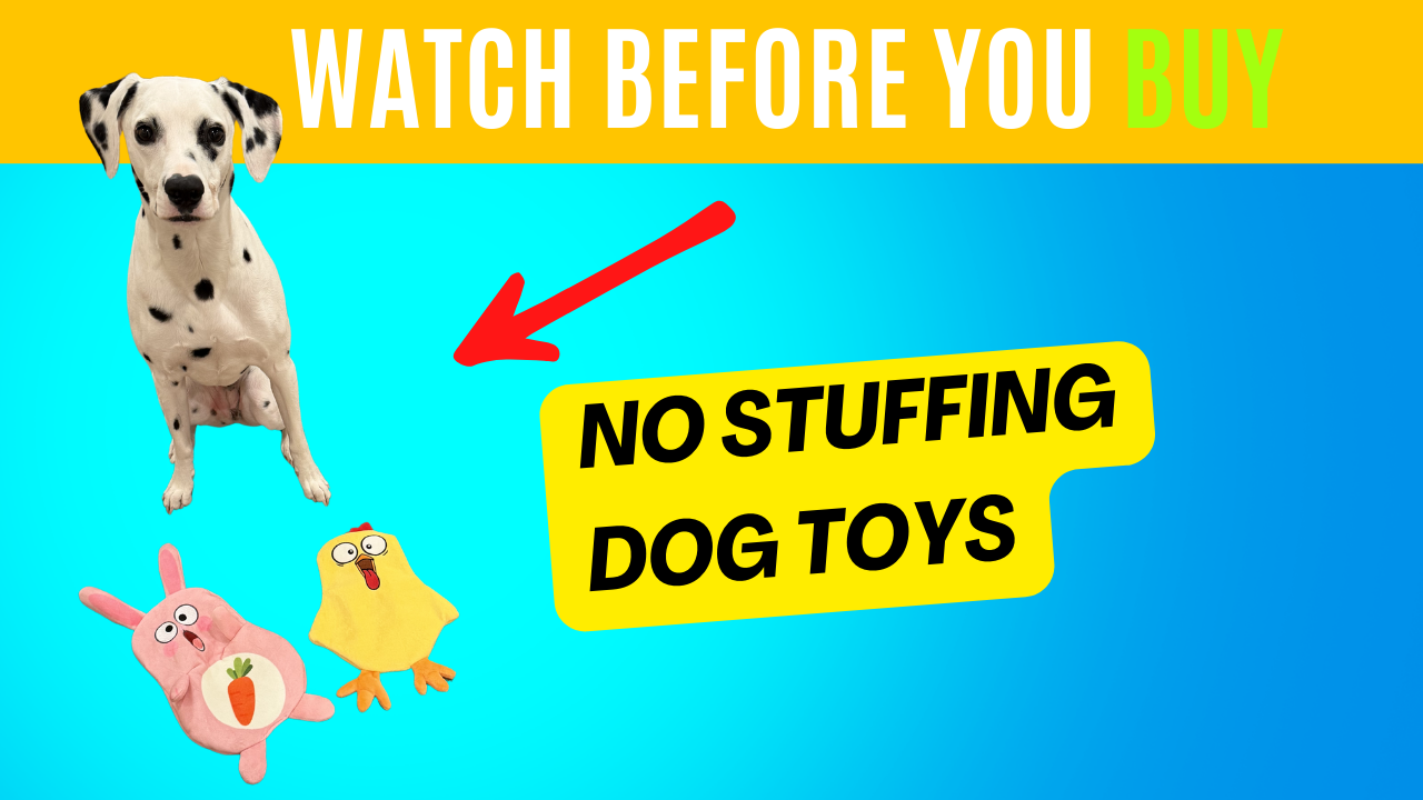 BEST No Stuffing Dog Toys