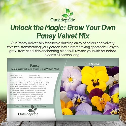 Miniatura 6 de Outsidepride Velvet Mix Viola - Semillas de pensamiento para plantar, 2000 piezas. Flores bienales, resistentes al frío y aptas para polinizadores