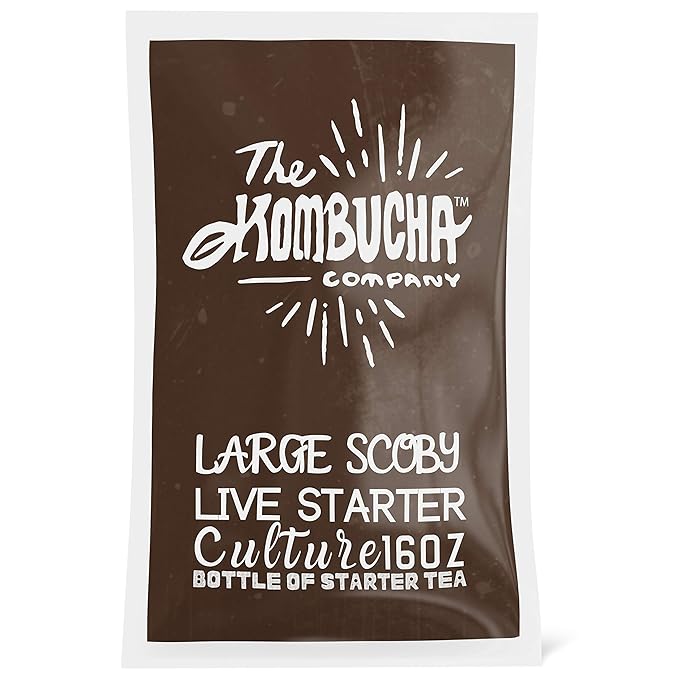 The Kombucha Company Large Kombucha SCOBY
