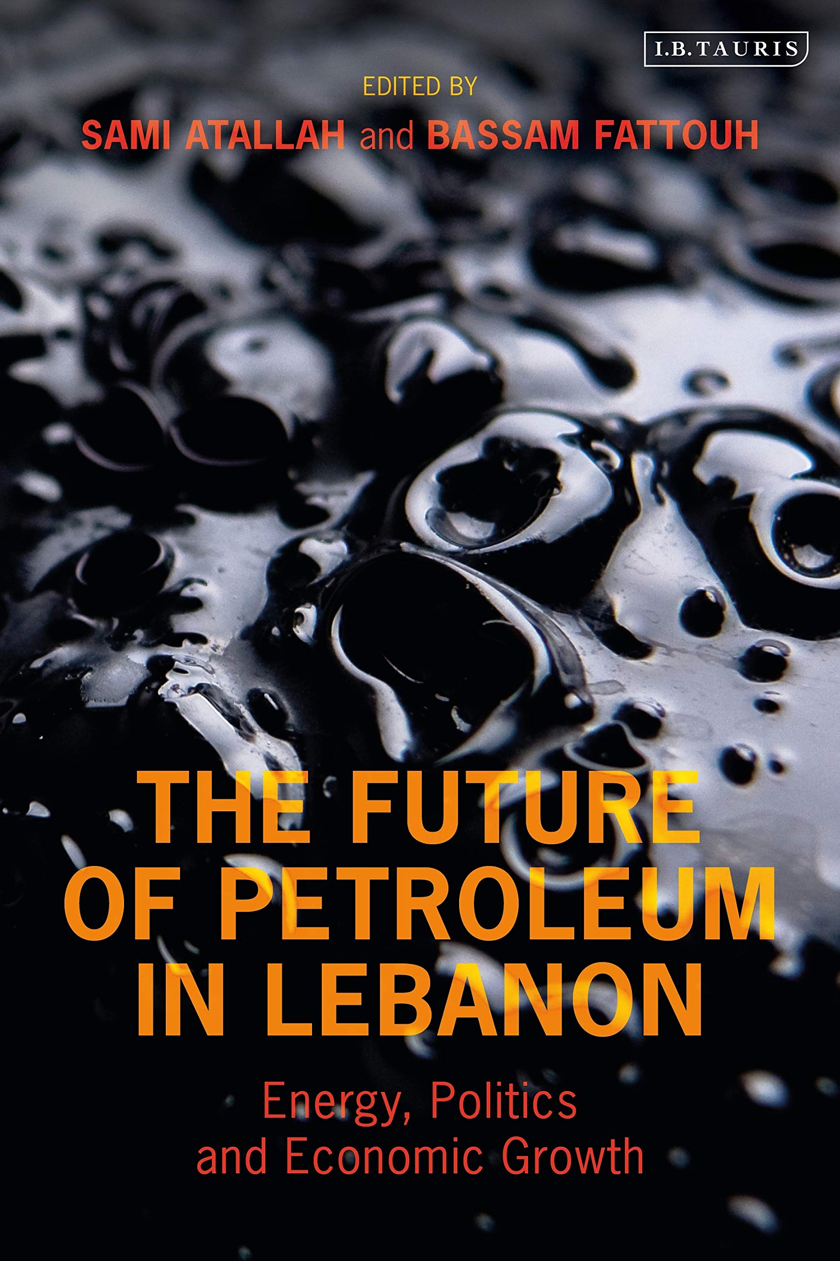 Buy The Future of Petroleum in Lebanon: Energy, Politics and Economic Growth — BookShops.in