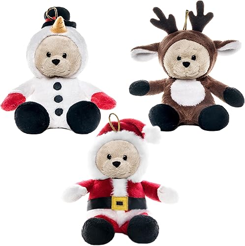 My OLi - Oso de peluche (9.0pulgadas), paquete de 2 osos de peluche personalizados