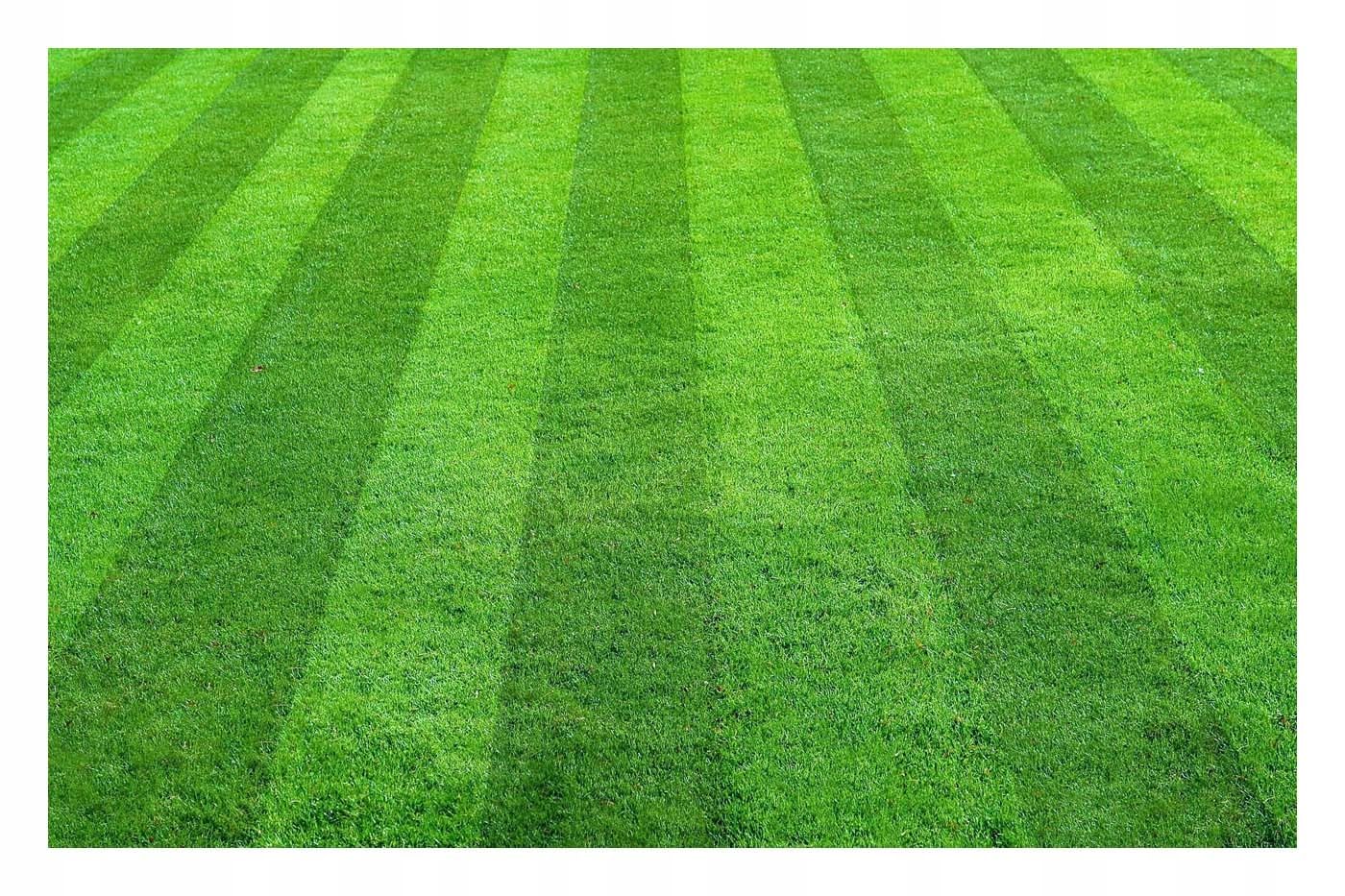 ORO START 10KG - Spezialdünger für Rasensaat, Rollrasen & Pflanzenstecklinge