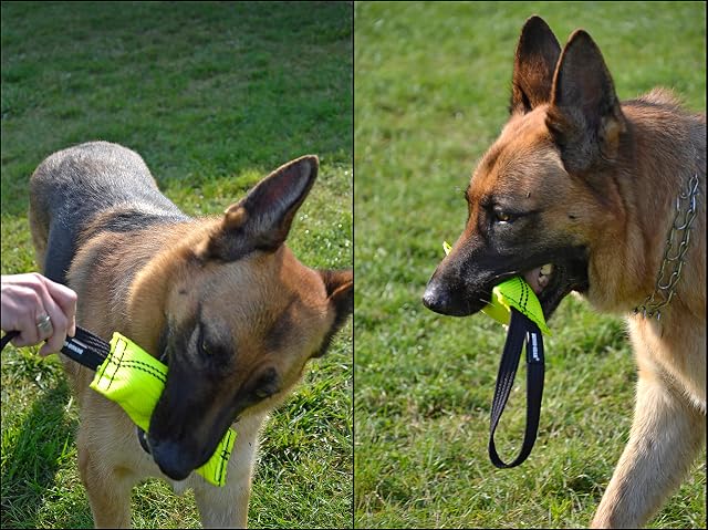 Foto 4 de 8 de Dingo Gear S00303 - Juguete Resistente con 1 Mango para Entrenamiento de Perros IGP, Juego Deportivo…
