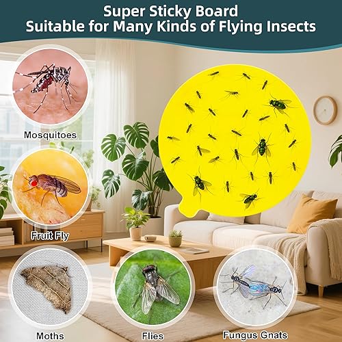 Miniatura 6 de 36 tableros de pegamento de repuesto de 4.3 pulgadas para Katchy, repuestos de trampa de insectos para interiores, compatibles con wifh Katchy,