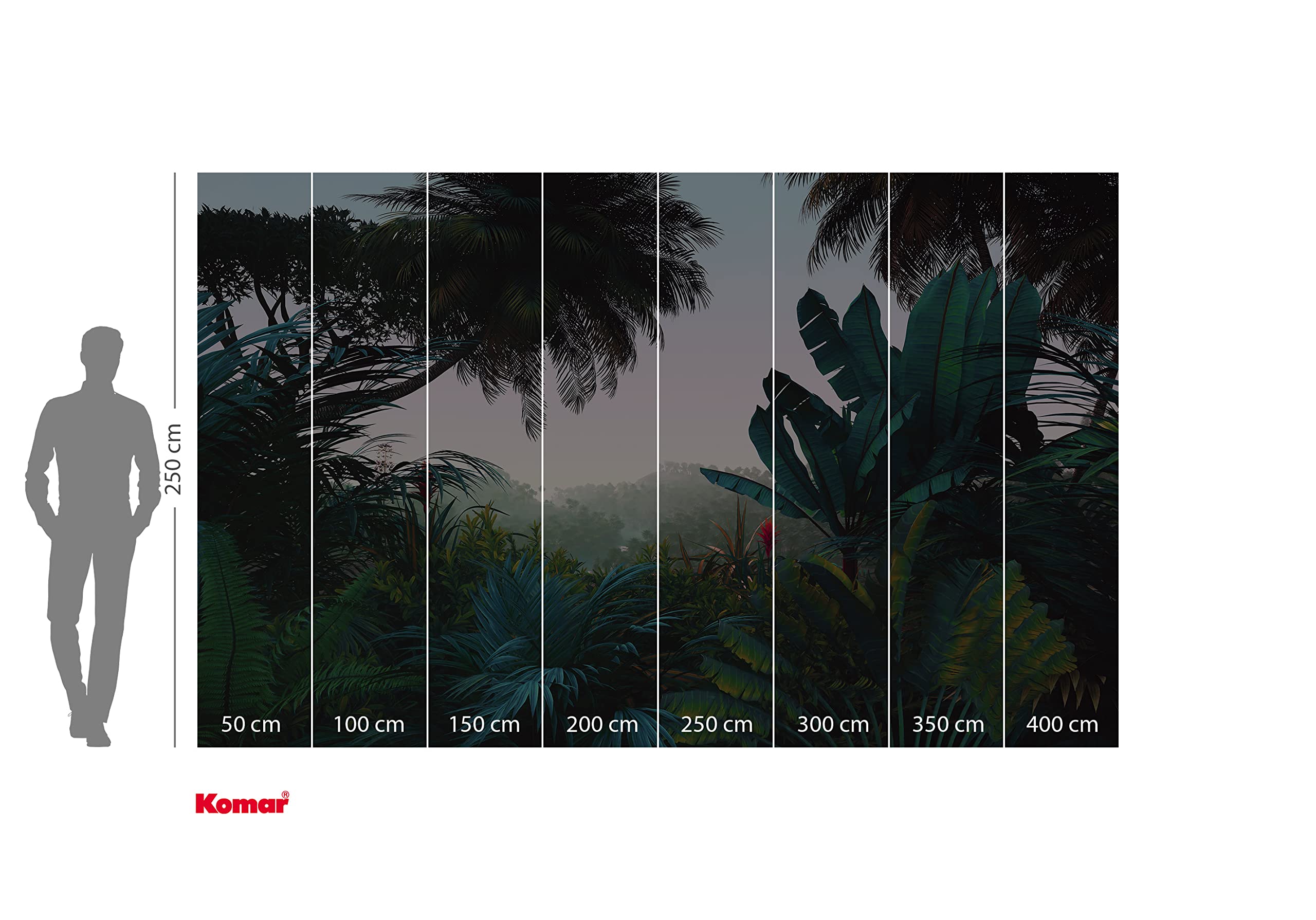 Komar Vlies Fototapete - Jungle Morning - Größe: 400 x 250 cm (Breite x Höhe) - Tapete, Design, Wohnzimmer, Wanddekoration, Schlafzimmer, Palmen, Baum, floral, Landschaft - LJX8-060