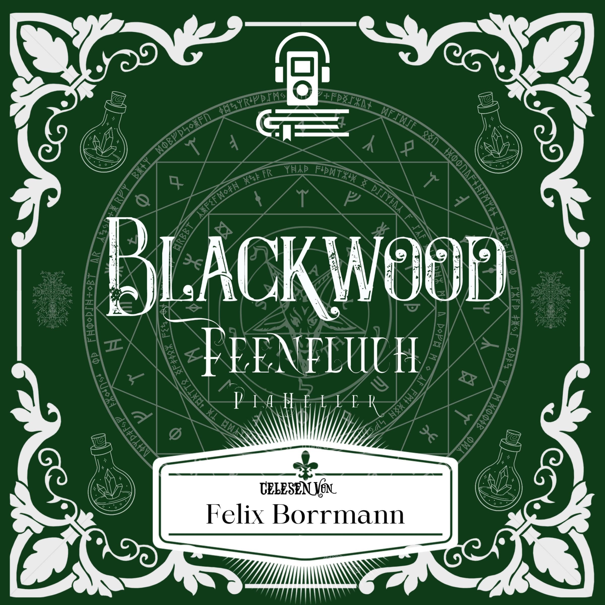 Cover art for Feenfluch