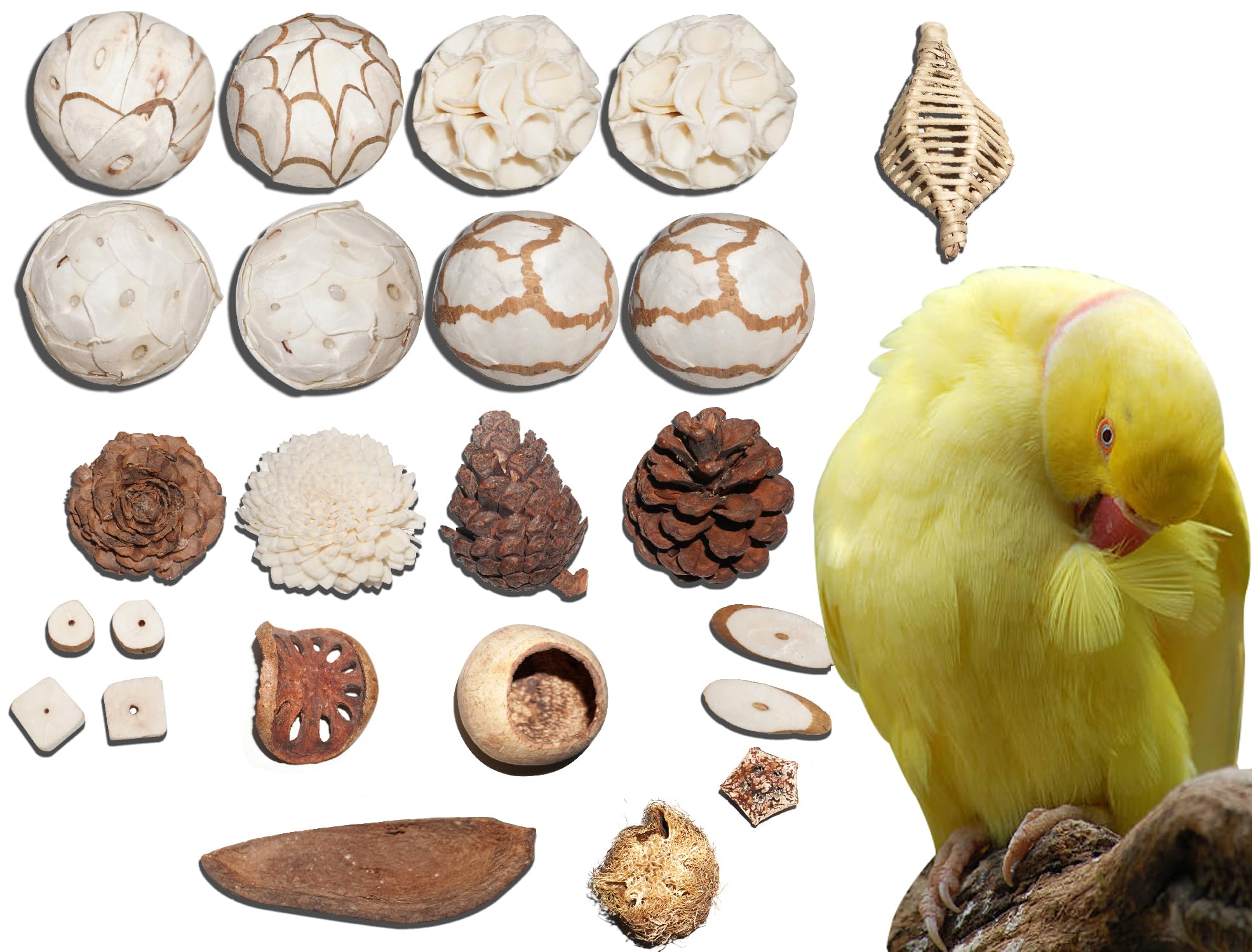 AEspares 24 Pc. Bird Toys Interactive and Durable Play Toys for Pet Birds Parrots Cockatiels Conures Caiques Parakeet Budgies Other Parrots Breeds and Birds Breeds