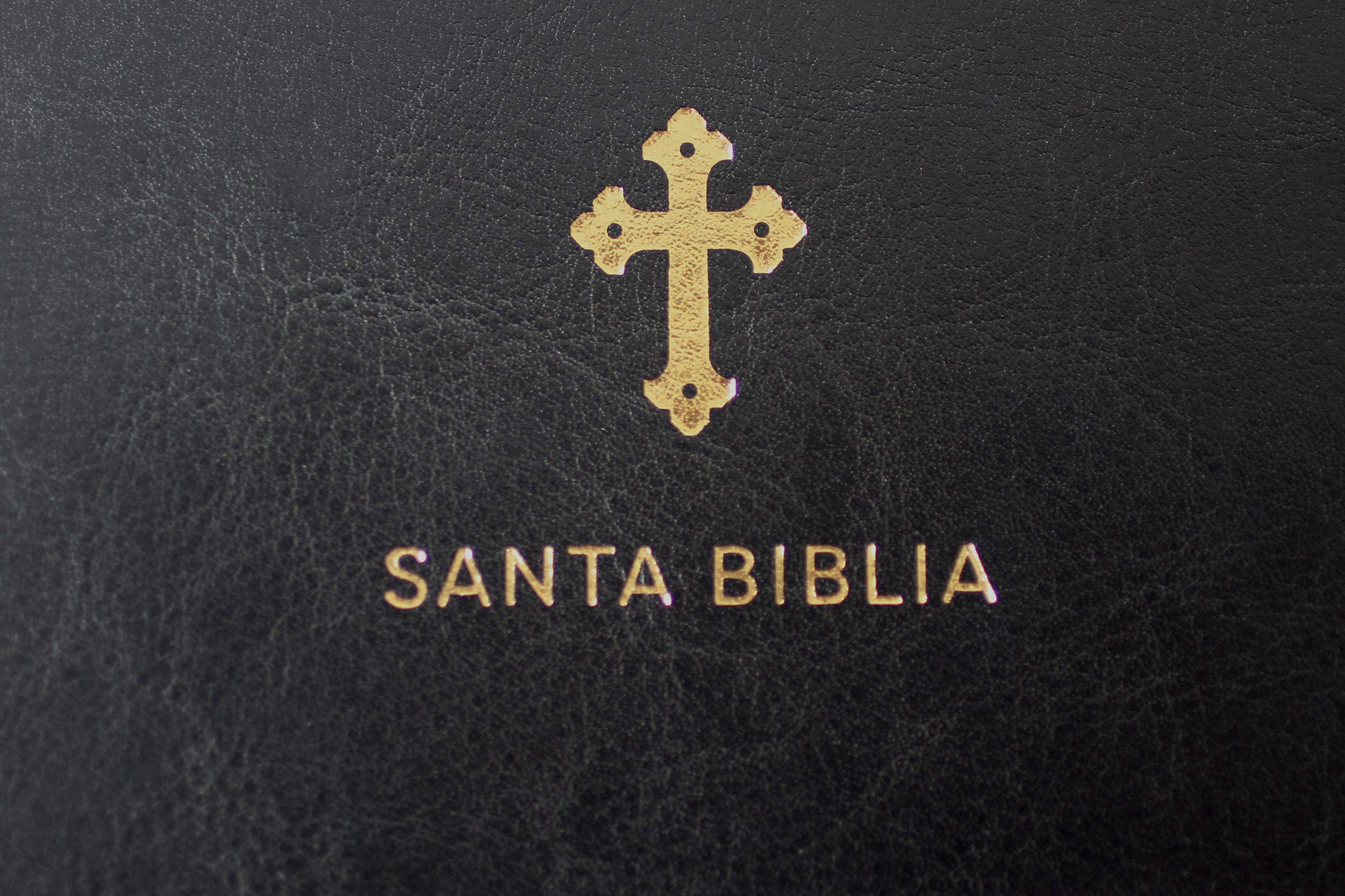 Biblia Reina Valera 1960 Tamaño grande, letra grande piel negra con cremallera / Spanish Holy Bible RVR 1960 Large Size Large Print Black Leather with ... 1960, Negro, Símil Piel, Con Cremallera