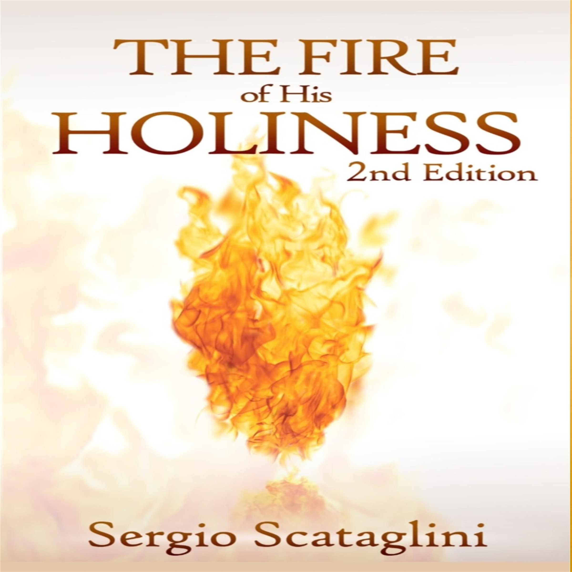 Cover art for The Fire of His Holiness