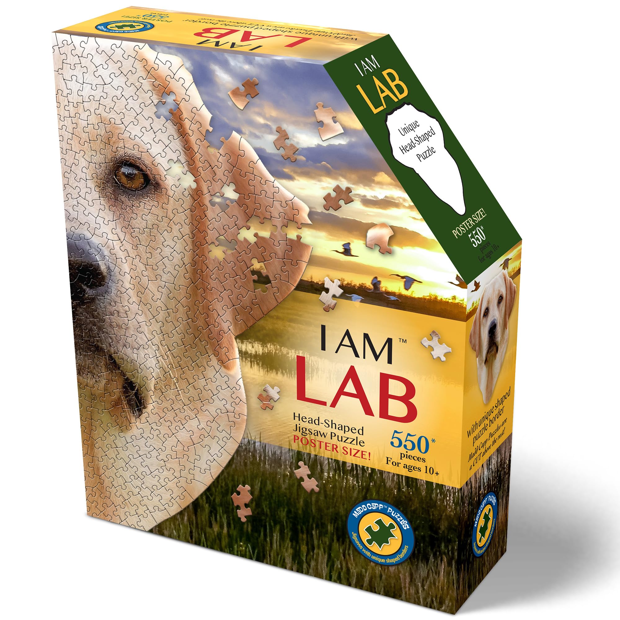 Madd Capp: I Am Lab - 550 Piece Dog Shaped Jigsaw Puzzle, 28x30 Finished Size, Includes Educational Fun Fact Booklet, Animal Puzzle
