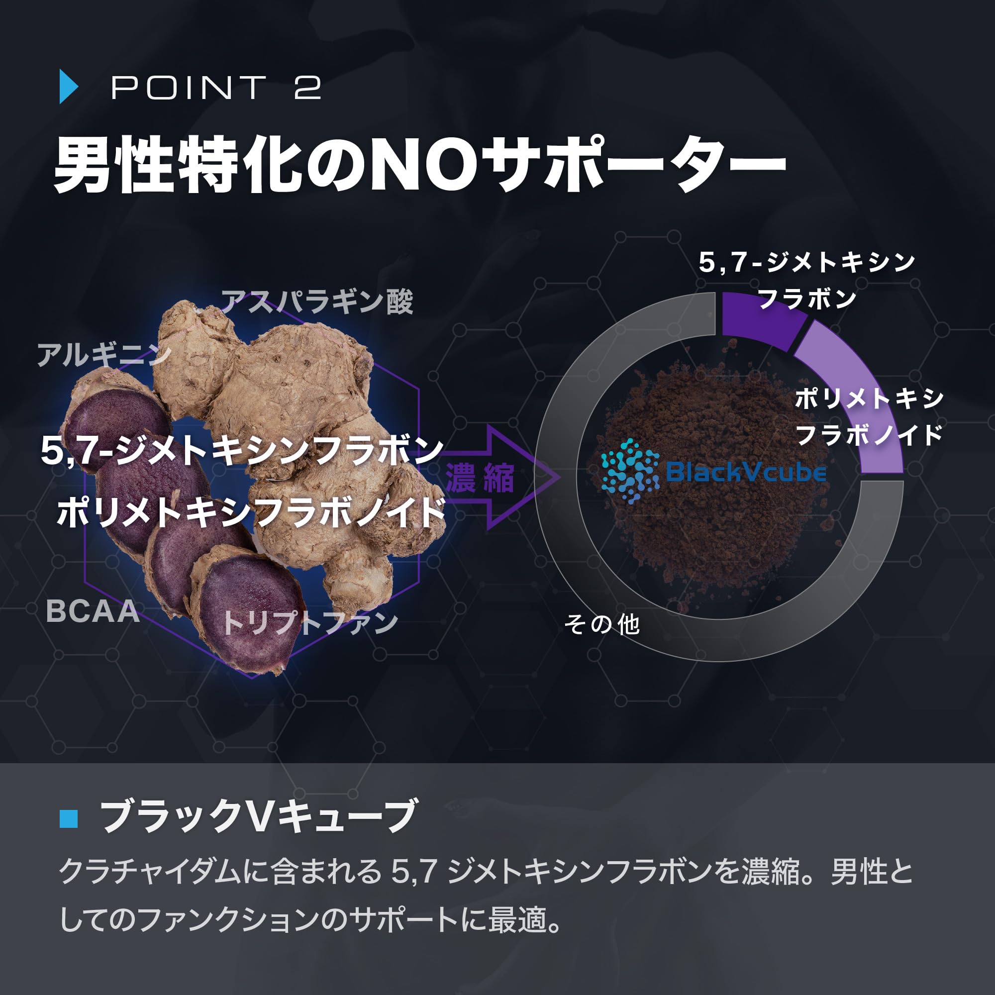 Amazon | ニトロキューブNOX NO系サプリ ナイトプロテイン ブラックV 