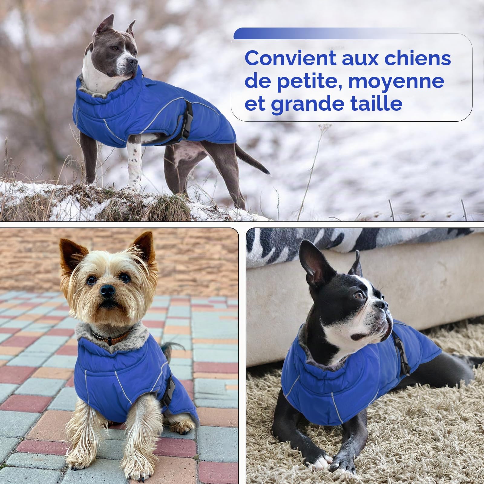 Manteau d'Hiver Chaud pour Chien - Veste Polaire Imperméable Coupe-Vent Réglable - Habit de Neige pour Temps Froid - Gilet Vêtements d'Hiver (Bleu, 2XL)