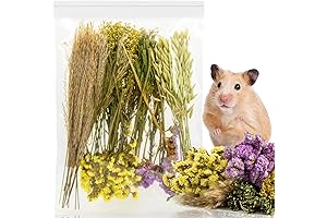 All-Natural Habitat Essential: Sukh Herb Bedding & Cage Decor