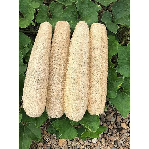Annria Loofah Scrubber Set - Gentle Exfoliation