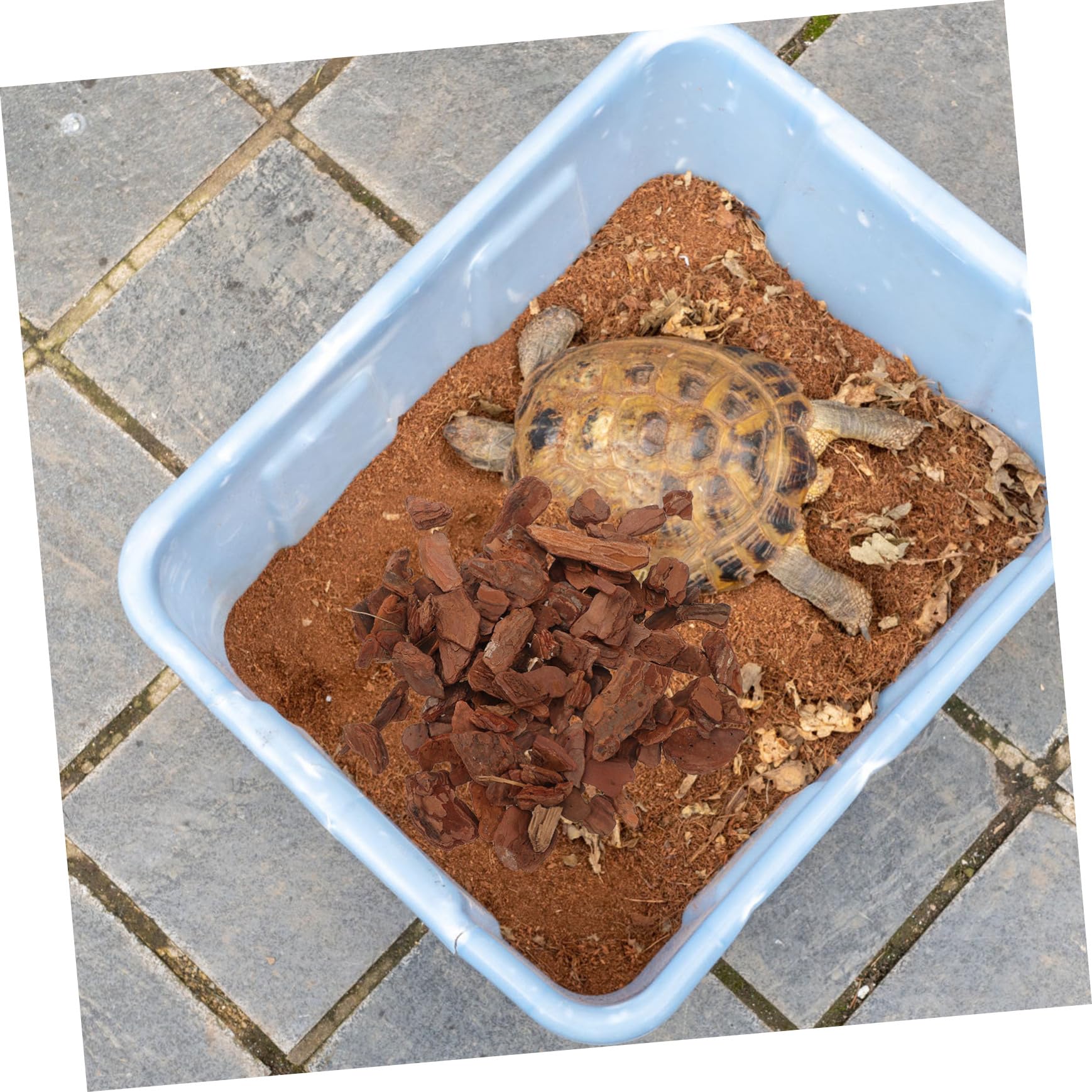 TOYANDONA Copeaux D'écorce de Pin et Facile à Installer pour Terrarium, Décor Naturel pour Petits Reptiles et Animaux, pour Décoration D'aquarium et Terrarium