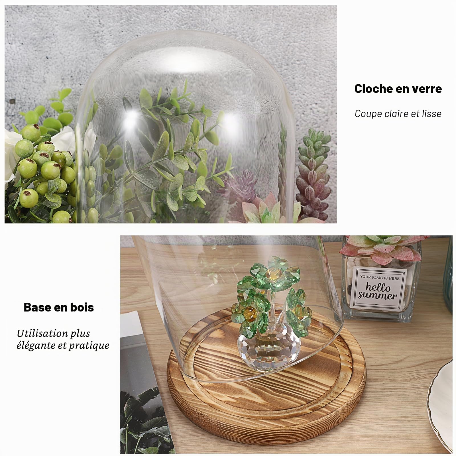 Lot de 2 dômes en verre socle bois naturel - Cloche décorative robuste - Pour lampes, bougies, roses, décorations Noël, anniversaires, Saint-Valentin