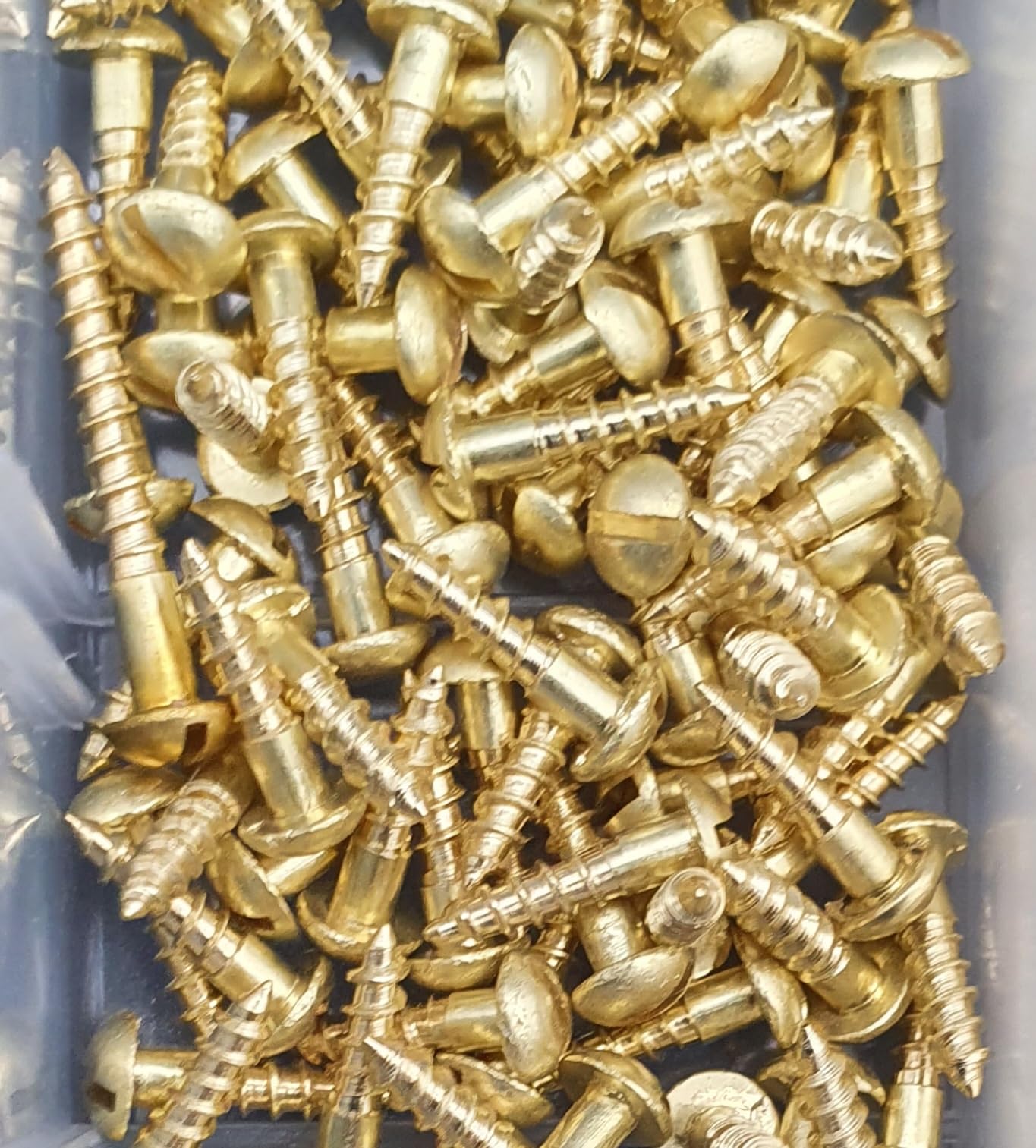 300 tlg. Set | Messing Holzschrauben Sortiment DIN 96 – Halbrundkopf Schlitz – Messing Blank – Dekorative Rundkopfschrauben in stabiler Box 2,5mm und 3mm Durchmesser