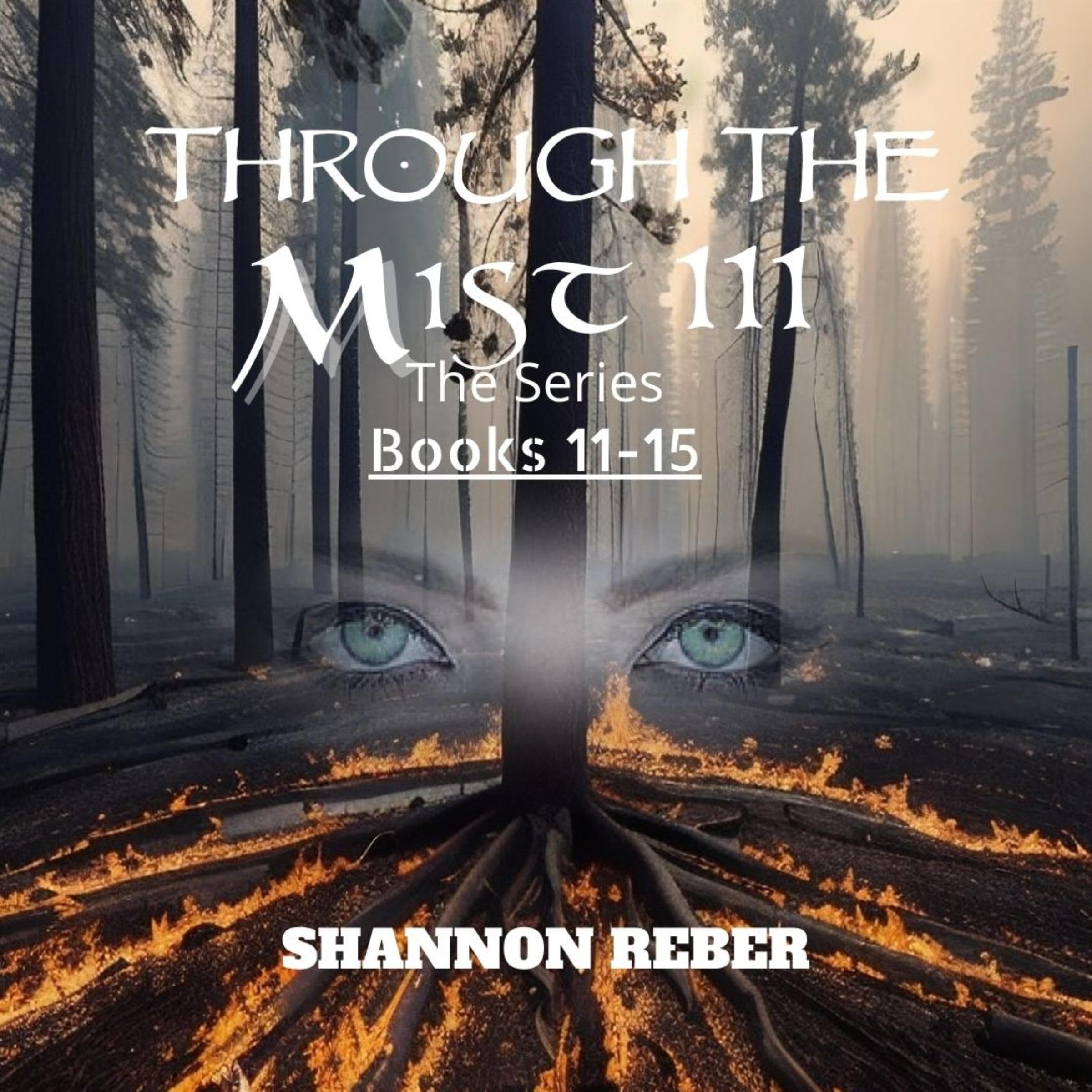 Cover art for Through the Mist Series III: Books 11-15
