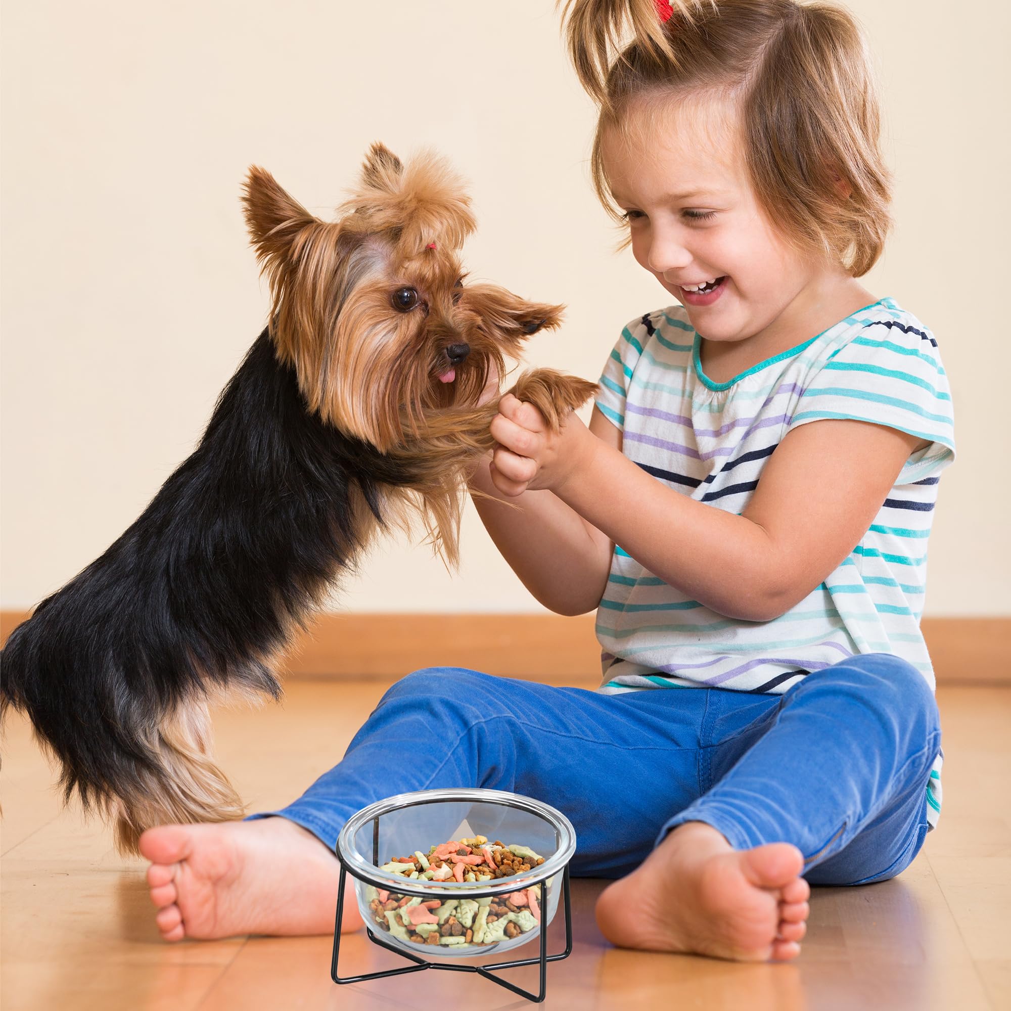 Comedero Elevado para Gato con Soporte, Cuenco de Cristal 460 ml para Agua y Comida, Apto para Perro Pequeño y Cachorro