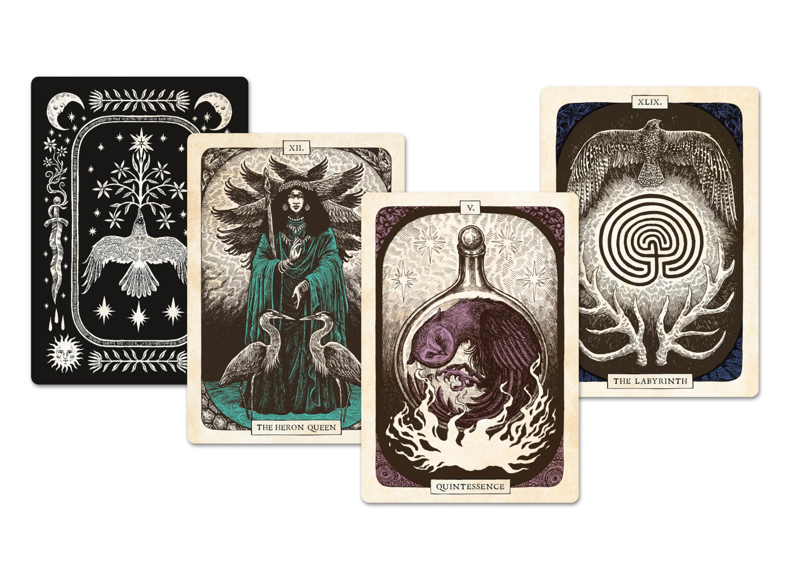 The Black Bird Oracle Deck: A 52-Card Deck and Guidebook