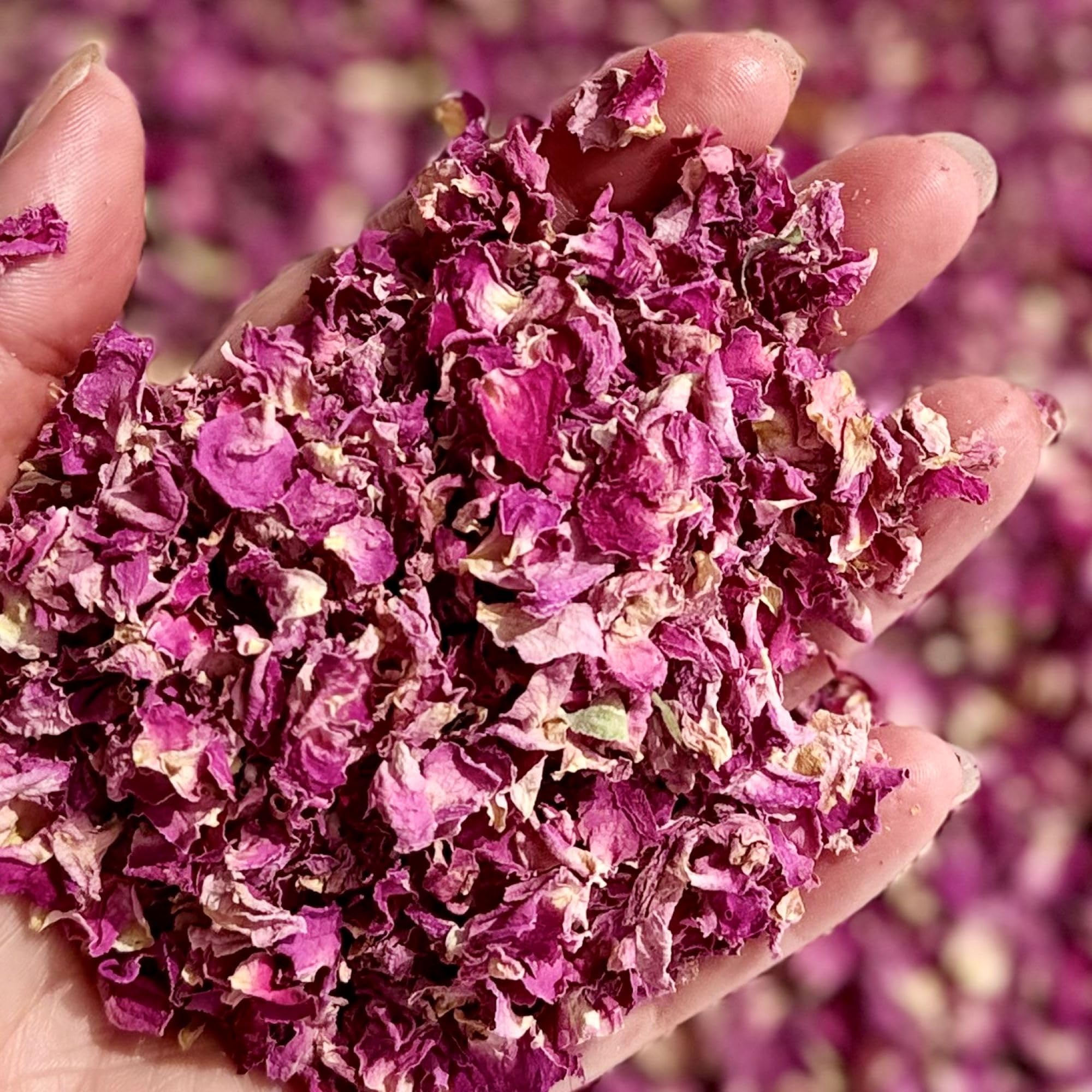 Natural Petal Confetti - 1 Litre - Purple Rose - Biodegradable (57), 57 Purple Rose - Image 2