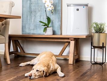 Sharp FPK50UW Air Purifier for Medium Rooms