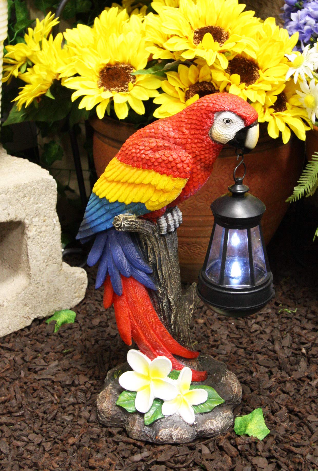 10 Best Parrot Bird Statues for Your Home Decor Hummingbirds Plus