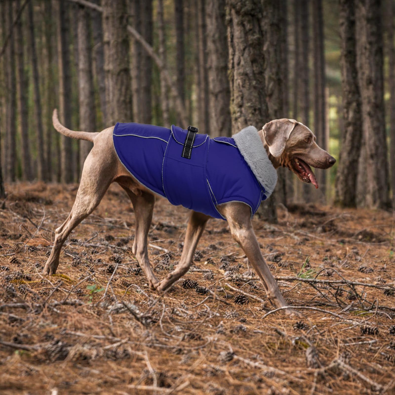 Lelepet Hundemantel Winterweste Reflektierende Fleece Hundejacke für Große Hunde Wasserdicht Hundejacke Wintermantel Warme Winterjacke mit Verstellbarer Schnalle (Blau, XL)