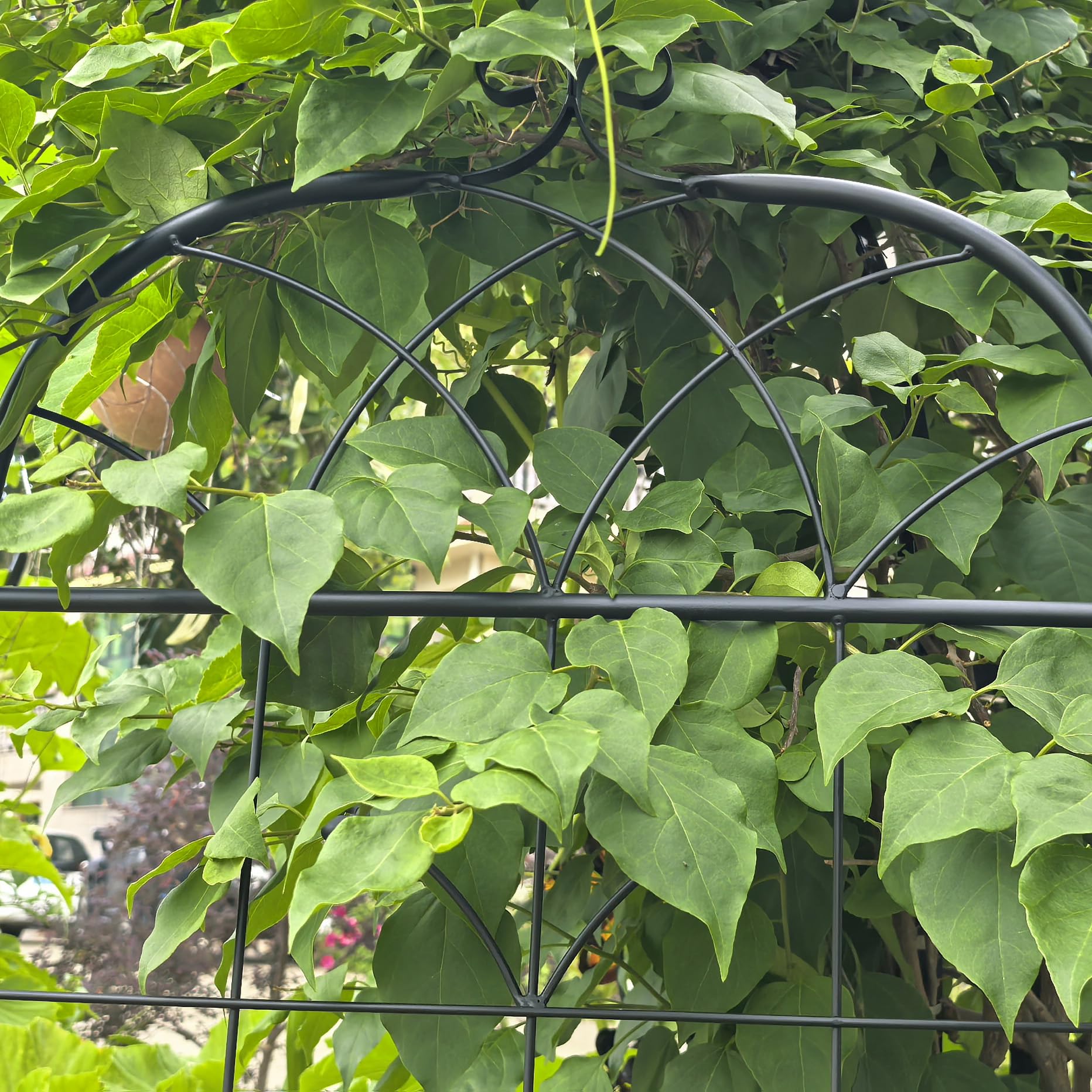 vutizal Metalowa kratka na rośliny pnące, 180 cm wysokości, 2 sztuki, pergola na róże i bluszcz, pomoc dla roślin doniczkowych, ochrona przed wzrokiem na taras i balkon