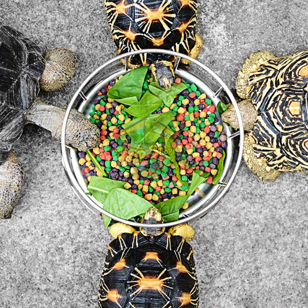 Mangeoire pour tortues reptiles, bol pour mangeoire alimentaire et nourriture pour roches durables pour reptiles pour tortues aquatiques(Grand)