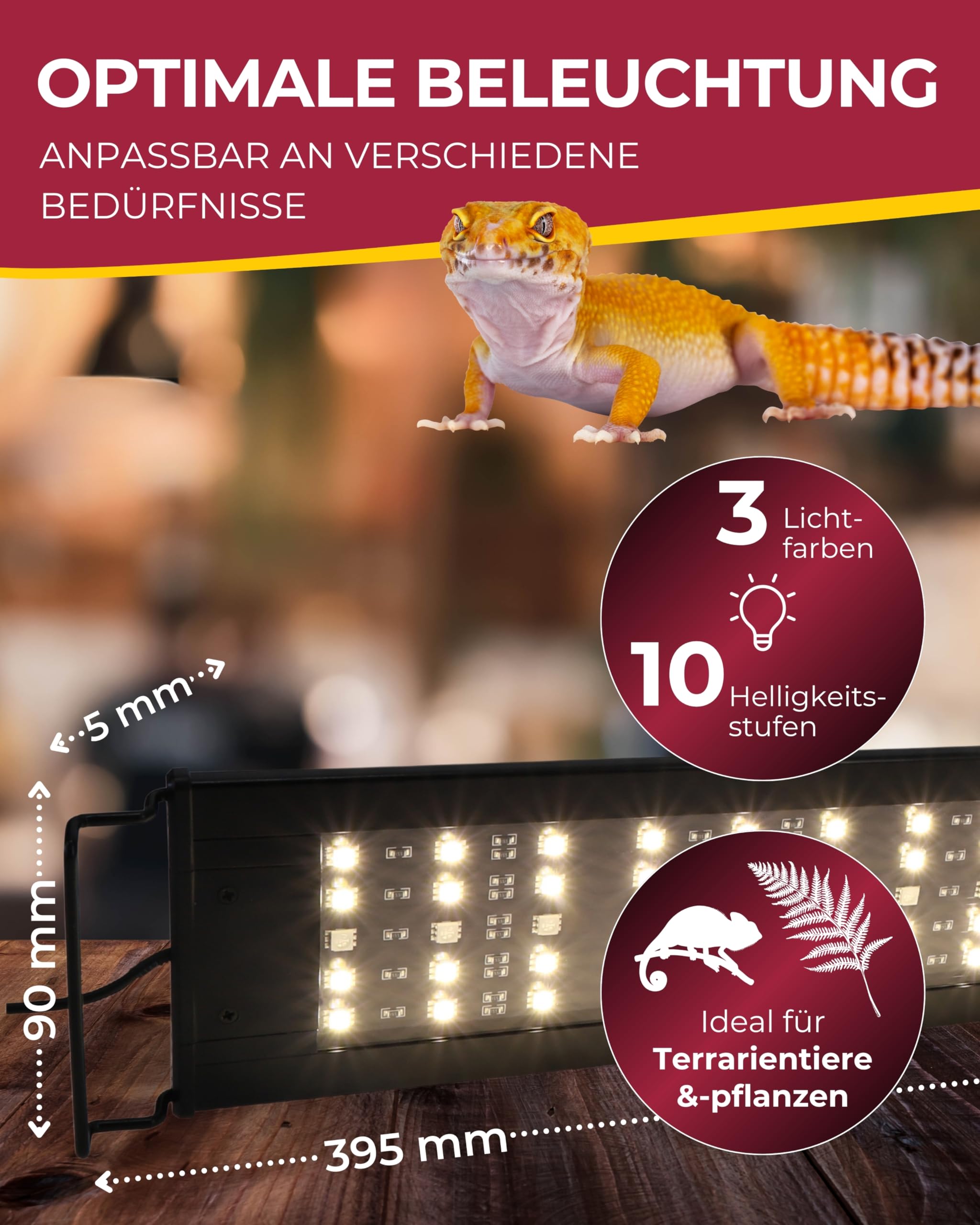 HOBBY Terraristik Terra Fix & Easy LED I dimmbare LED-Beleuchtung für Terrarien I Terrarium Lampe mit einstellbarer Farbtemperatur I Terrarienbeleuchtung für Reptilien, Amphibien und Pflanzen