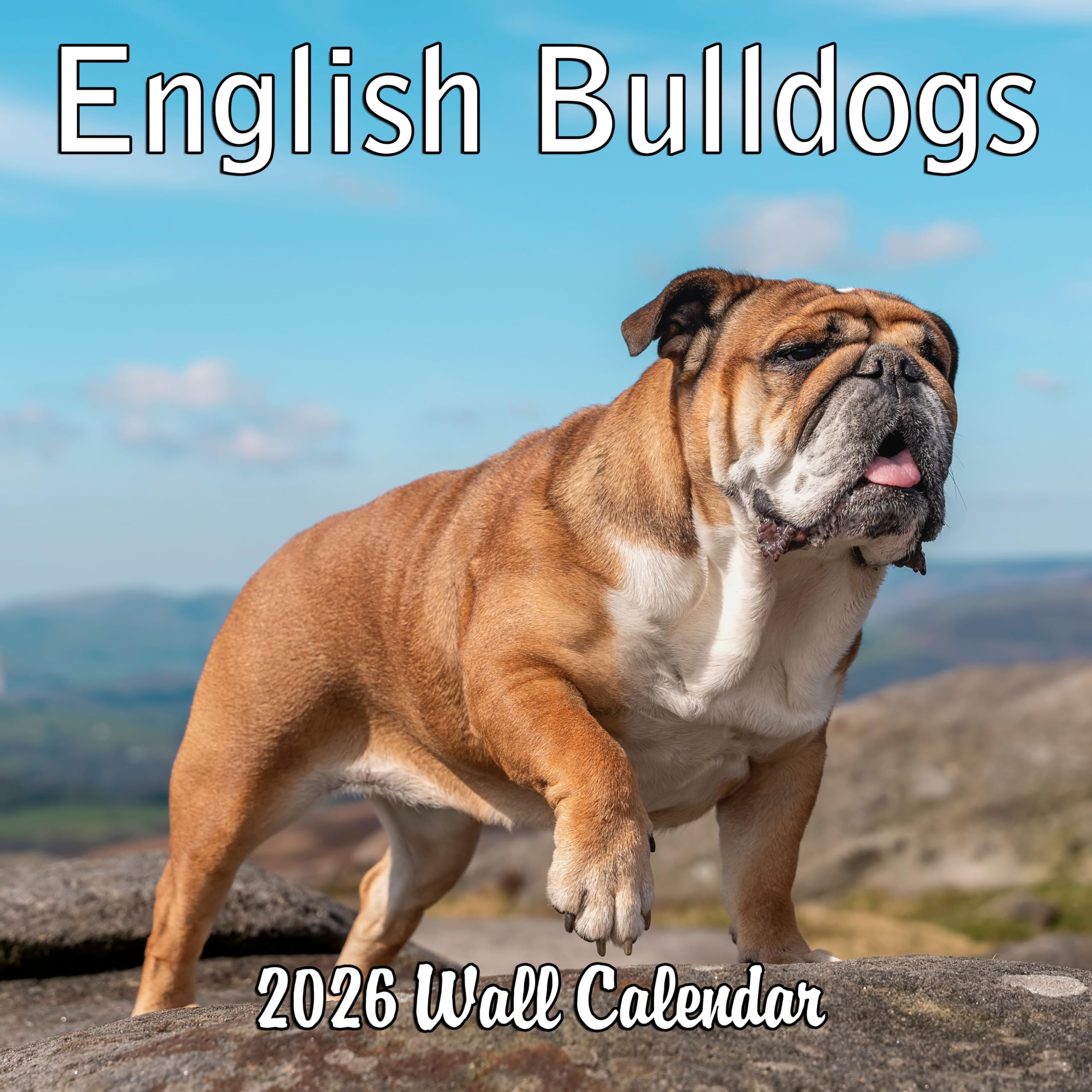 2025 English Bulldogs Monthly Wall Calendar | 12" x 24" | Thick Sturdy Paper | Dog Calendar 2024-2025